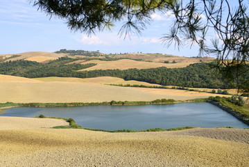 Landschaft mit Hügel und See in der Crete Senesi mit Zweig im Vordergrund