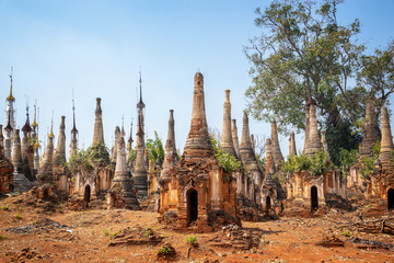Tree growing on ruins in Shwe Indein pagoda, Inle lake, Burma, Myanmar