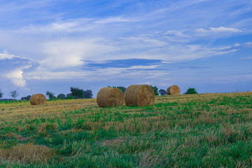 harvest season concept scenic view agriculture field with stack of hay in peaceful and calm evening clear weather time in September