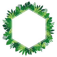 Tropical leaves and plants polygon frame