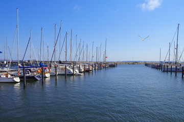Obraz na płótnie Canvas The port of Sassnitz, island Rügen, Baltic Sea - Germany