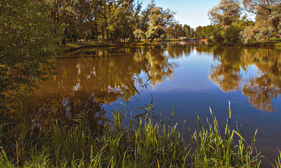 A park. Summer Saint Petersburg