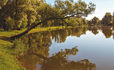 A park. Summer Saint Petersburg