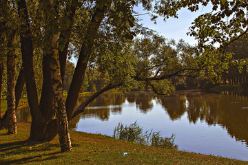 A park. Summer Saint Petersburg