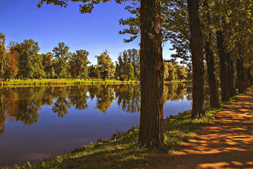 Obraz premium A park. Summer Saint Petersburg