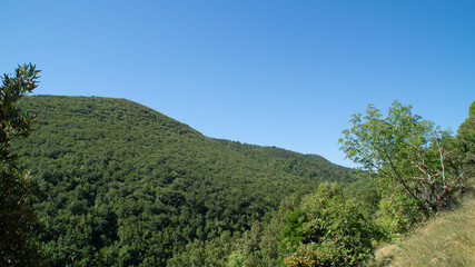 Vista lungo il sentiero a Serra San Quirico