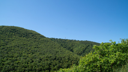 Vista lungo il sentiero a Serra San Quirico