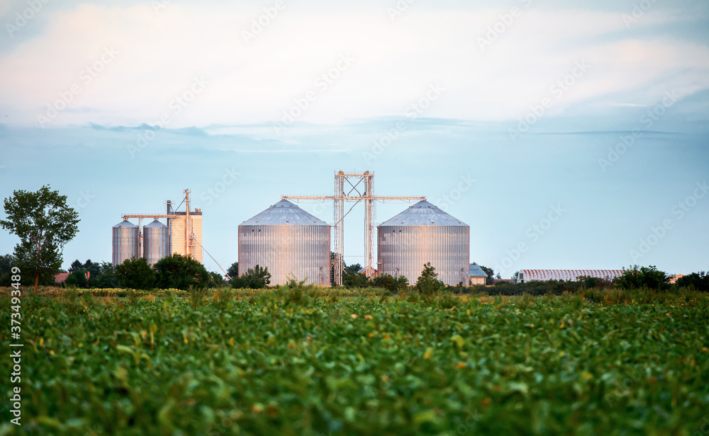 Wall mural silos for storing grain harvest. concept of agriculture and industry