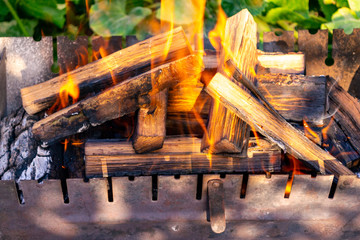 Camp fire in the night