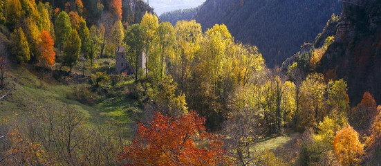 Autumn trees landscape, fall season in Bergueda, Catalonia