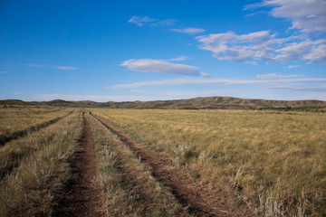 Fototapeta na wymiar Country road. Dirt-track. Rural landscape. Steppe.