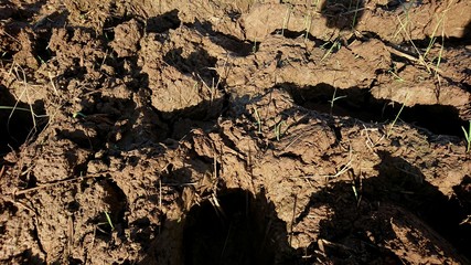 Irregular clay structure exposed to sunlight