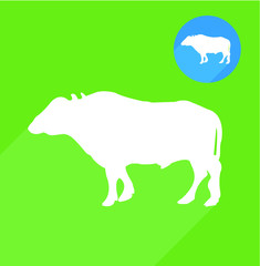 Buffalo icon
