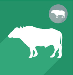 Buffalo icon