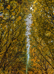 Jardin du palais royal, Paris