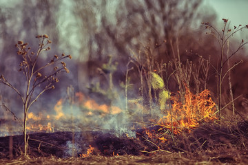 firefighter puts out grass / forest fire, dry grass burns, wind blows