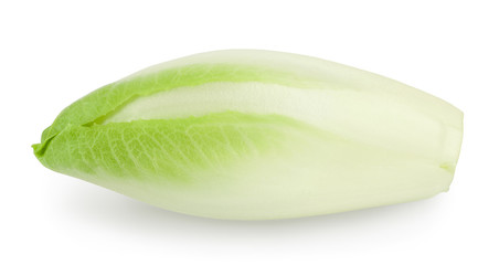 Chicory salad isolated on white background with clipping path and full depth of field.