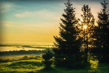 Morning landscape with trees in the foreground, the sun shines through the branches, in the background a foggy valley