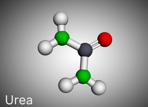 Urea, carbamide molecule. It is a nitrogenous compound containing a carbonyl group, is used as fertilizer, in cosmetics. Molecular model