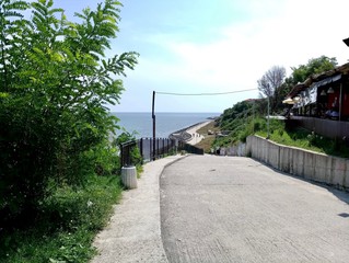 Asphalt road along the seashore and green trees