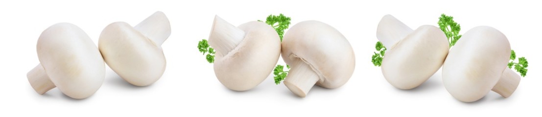 Fototapeta premium Fresh mushrooms champignon isolated on white background with clipping path and full depth of field. Set or collection