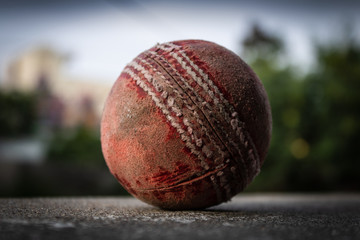 cricket ball on the ground