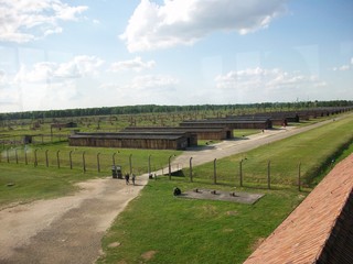 aerial view of the farm