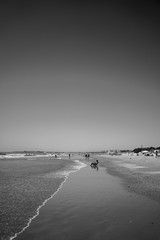 Playa de cadiz en verano