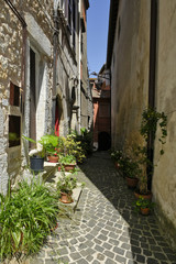 Fototapeta na wymiar A narrow street among the old houses of Vallecorsa, a medieval village in the lazio region.