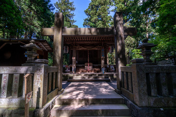 Fototapeta premium 大雄山最乗寺の奥の院