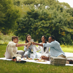 Friends having champagne at the picnic