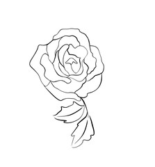 TATOO DESIGN OF STYLIZED ROSE WITH LEAVES