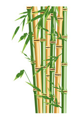 Bamboo trees with leaf. Color vector flat cartoon illustration