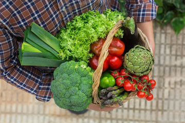 Assortment or farmer market bio organic ripe vegetables in hands