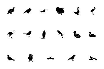 Birds black color set solid style image