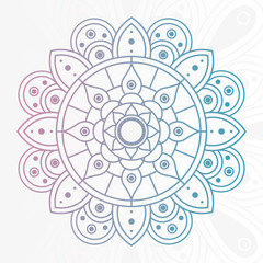 decorative floral mandala with white background