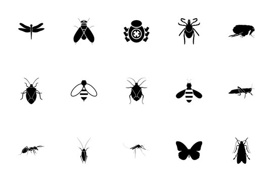 Insects black color set solid style image