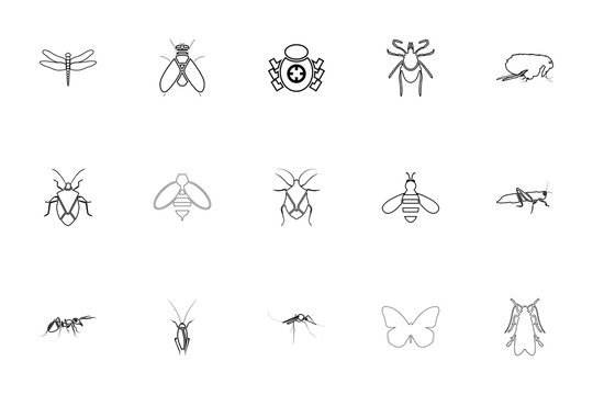 Insects black color set outline style image