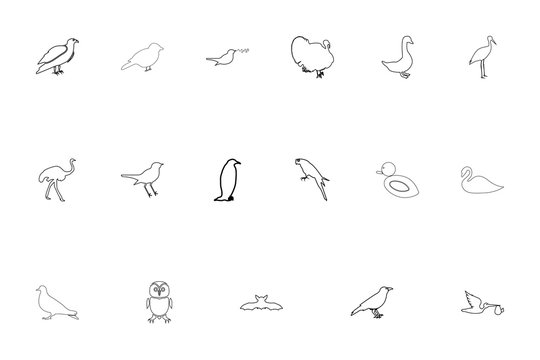 Birds black color set outline style image