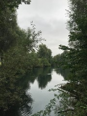nature