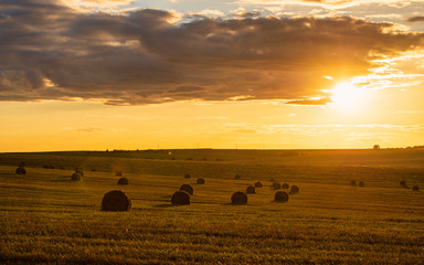 Panoramic view of a field with haystacks. Landscape during sunset.