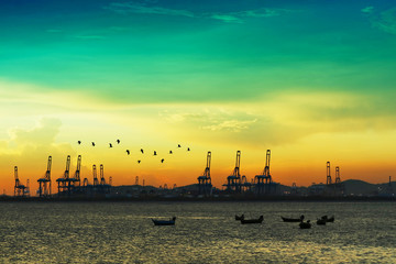 birds flying over cranes on seaport and sunset colorful sky and many fishing boats on sea