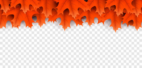 Red maple leaves top frame on transparent background.