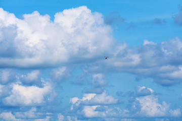 one bird fly on clear blue sky huge white cloud on sea