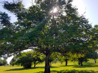 Hermosa vista de puesta de sol