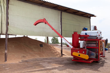 Roofed outdoor warehouse, a shed for storing grain crops, conveyor machine