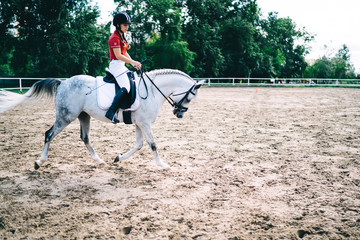 Young female horse rider on equestrian sport competition training hobby during recreation leisure,...