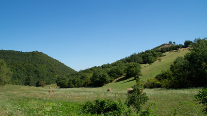 Fototapeta na wymiar Panorama dal sentiero a Serra San Quirico