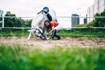 Young professional girl showing tricks with obedient stallion horse enjoying weekend in country...