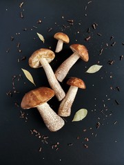 birch mushrooms on a paper bag and black background